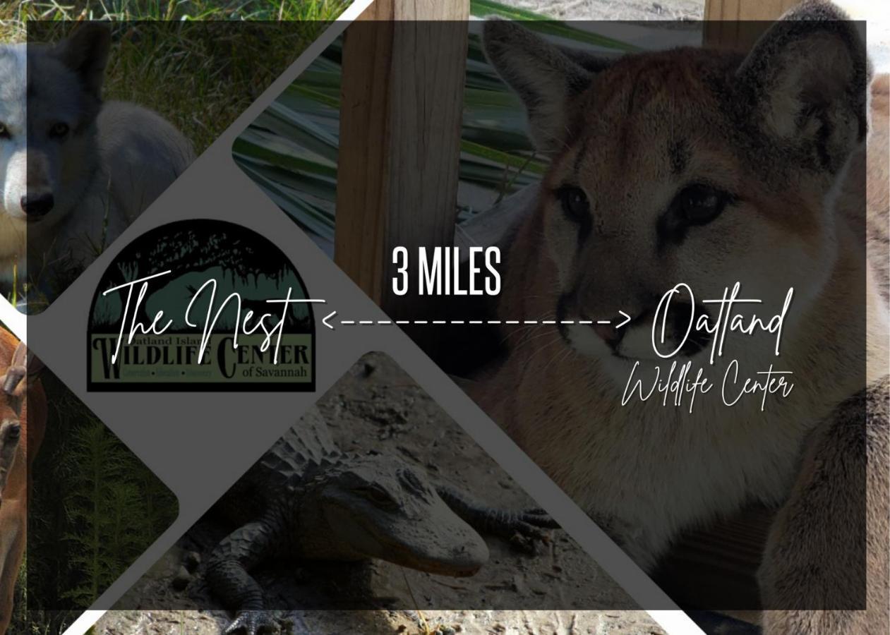Cozy Oasis 15min To Dt & Tybee, Away From - The Nest Сasa de vacaciones